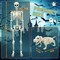 5.4FT Halloween Skeletons, Full Size Skeleton with Skeleton Dog